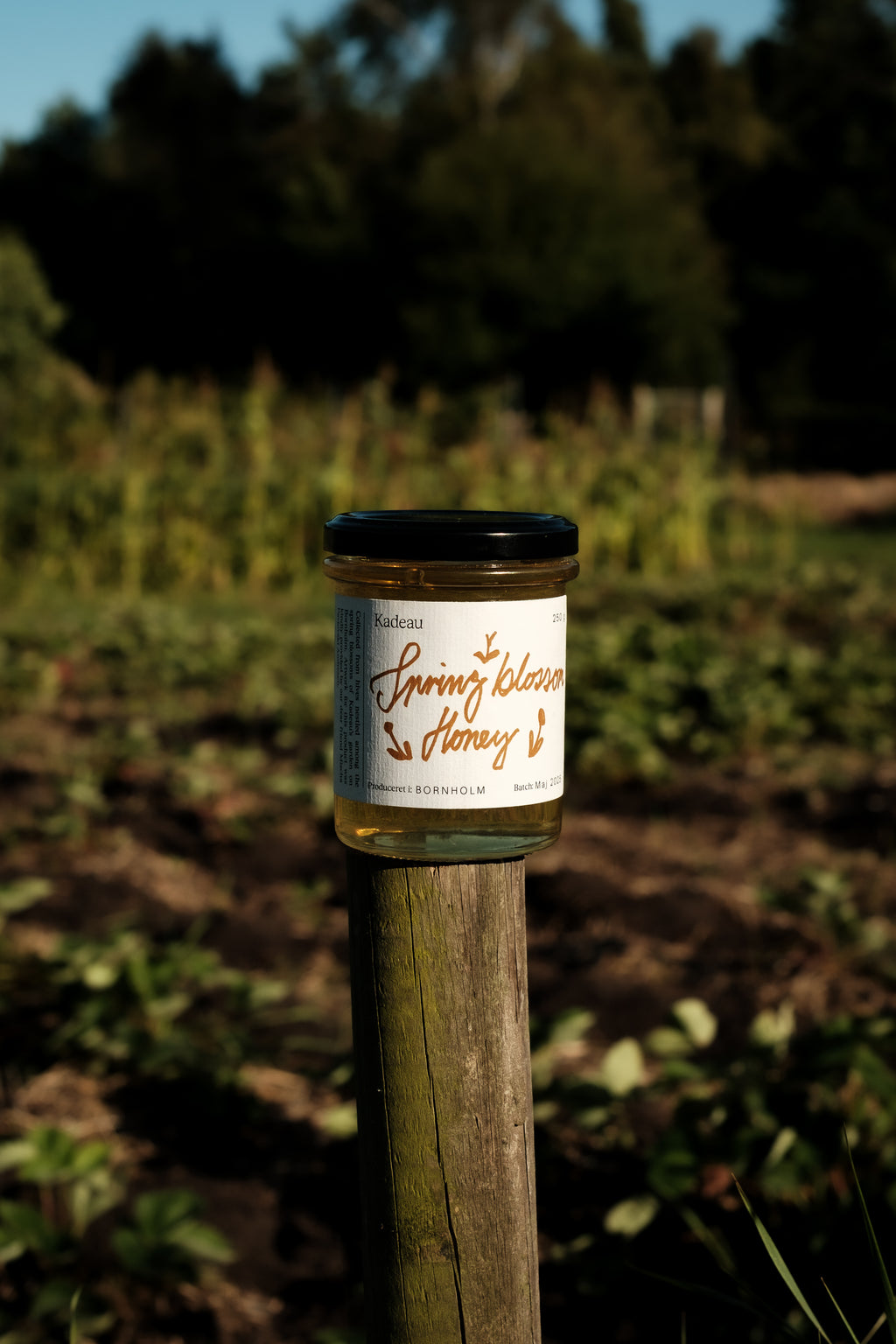 Spring Blossom Honey